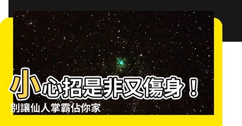 仙人掌放家門口|仙人掌可以放門口嗎？